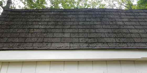 how to repair garden shed roof 2