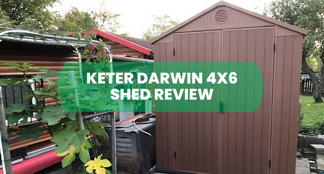 keter darwin 4x6 shed