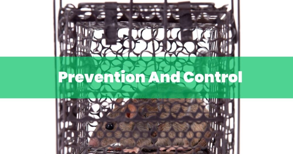 Prevention And Control